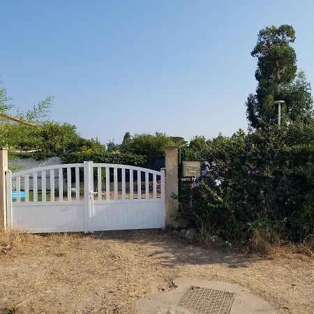 Chambres D Hotes A 20 Pas De La Plage Lucciana  Bagian luar foto